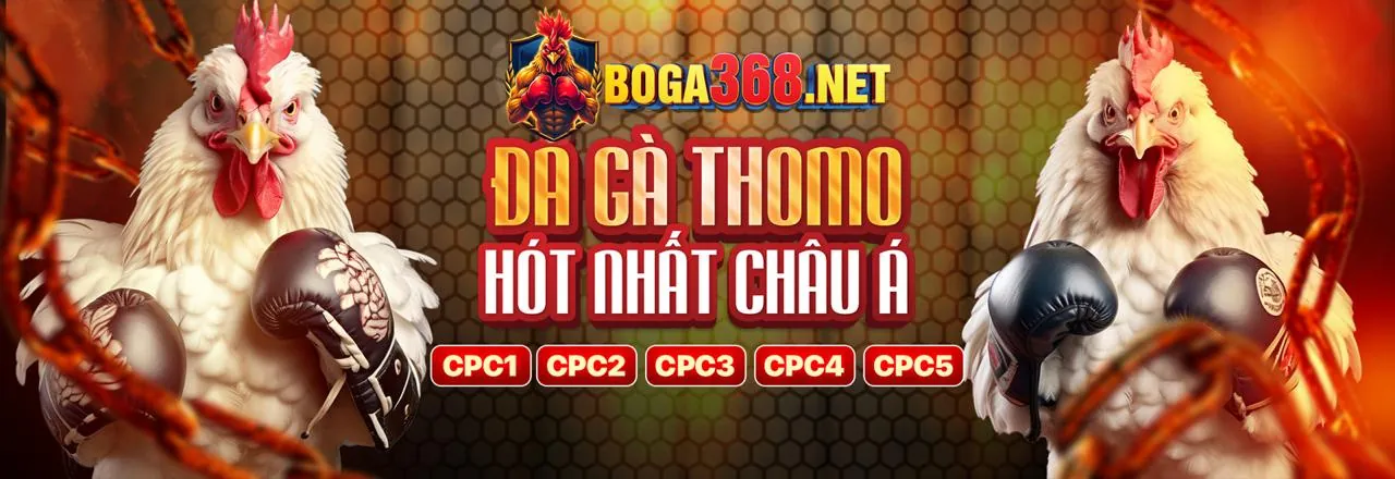 Đá gà trực tuyến Rubik88 với các khuyến mãi hấp dẫn