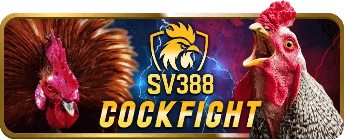 Chơi Slot Rubik88 trên di động